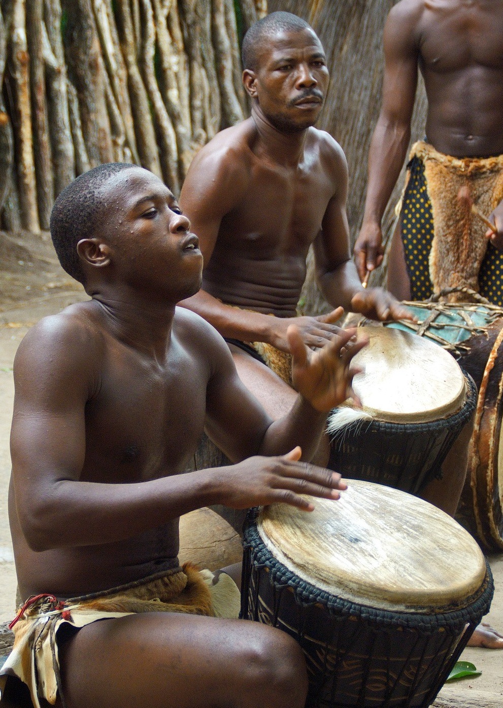 Ang kwento ng Venezuelan Drum - YoorsAng kwento ng Venezuelan Drum - Yoors  