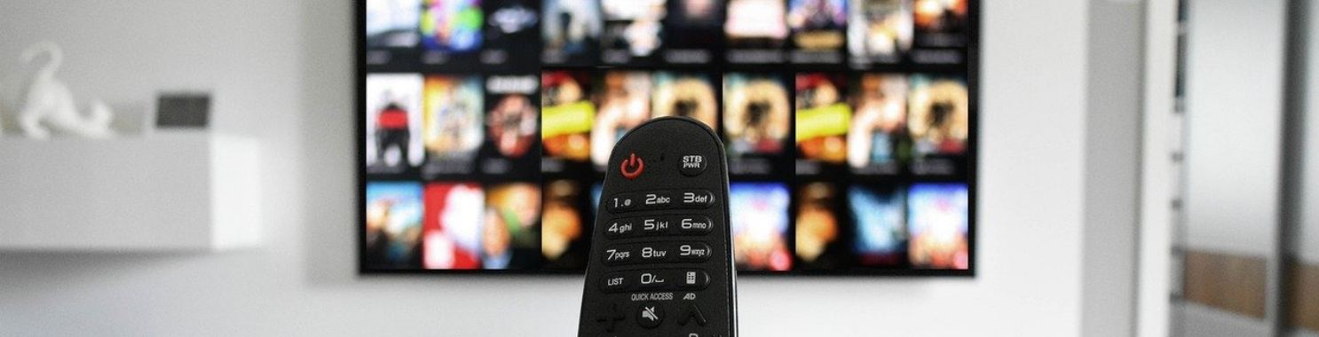 Was Netflix Wrong For Implementing the Anti-Password sharing Policy? | Babita de Boer