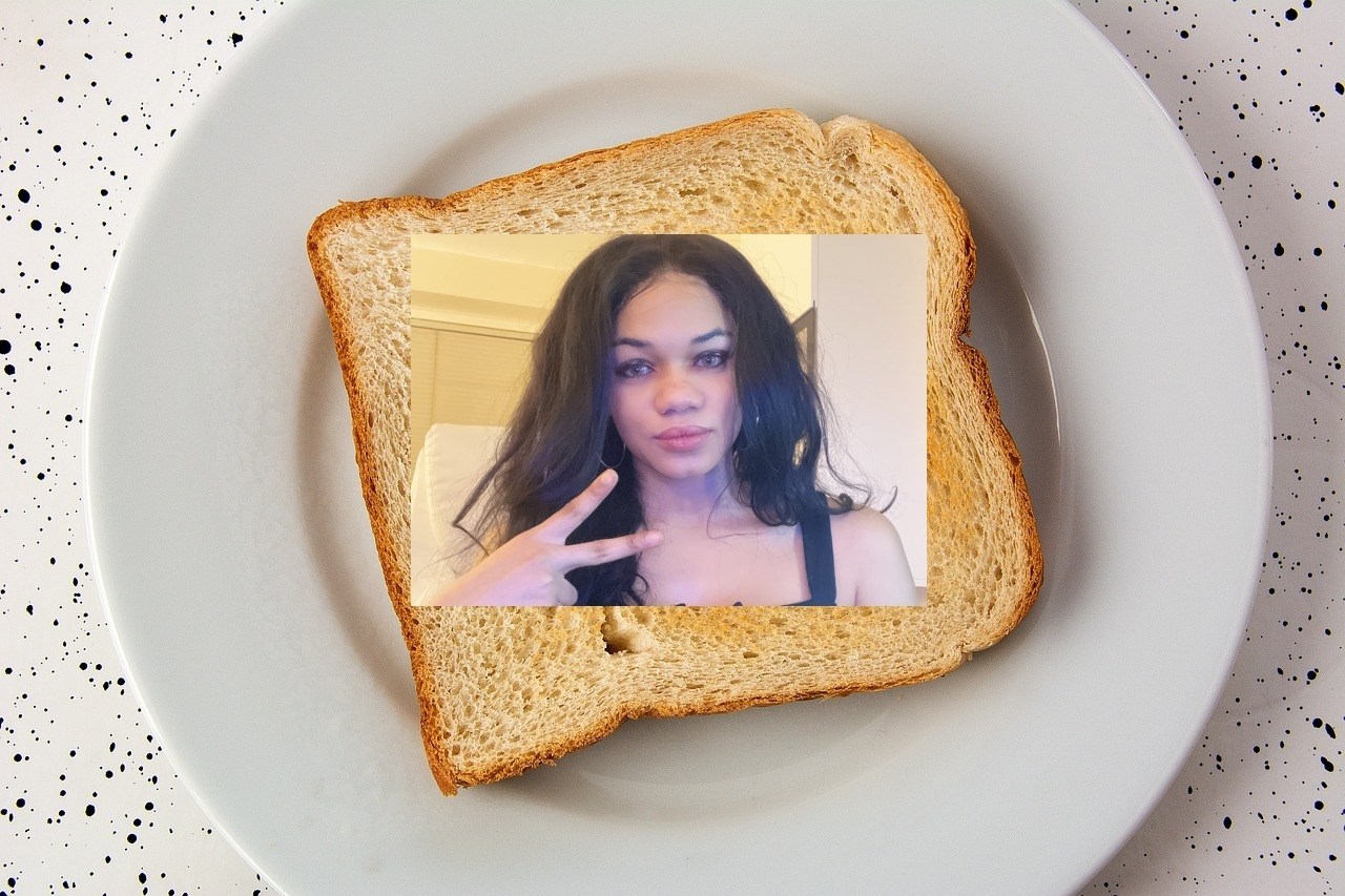 The Selfie Toaster