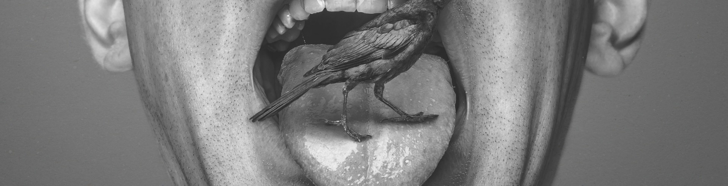 The Bizarre Article That Will Make You Question Everything You Know! | Babita de Boer