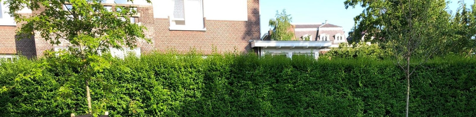 [€25] Create a post in my new booster for #nature and earn cash!  | Babita de Boer