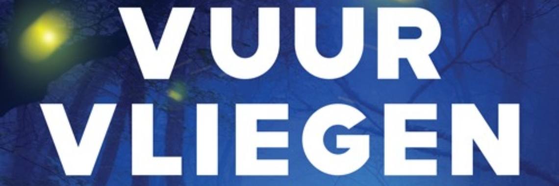 Evert Kwok cartoonist publiceert psychologische thriller 'Vuurvliegen' | Evert Kwok