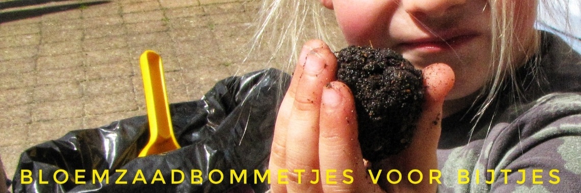 Bloemzaadbommetjes maken voor de Bijtjes | Mirelle - Crea met Kids