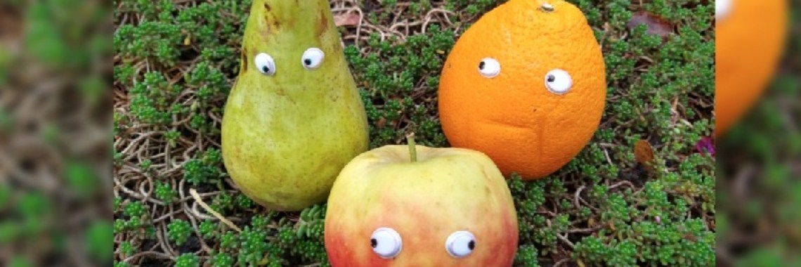 Day 1 Fruit in the Yoors November photo month | Mirelle - Crea met Kids