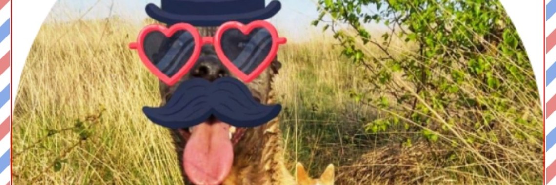 Day 4: Cover - in the Yoors November Photo month | Mirelle - Crea met Kids