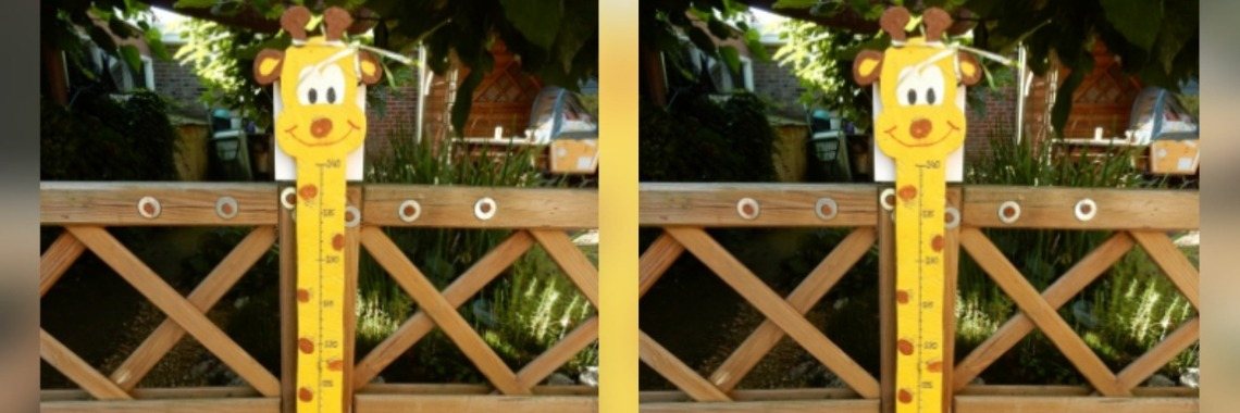 Groeimeter giraffe hout | Mirelle - Crea met Kids
