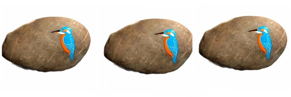 Ijsvogel op een steen maken met koud emaille | Mirelle - Crea met Kids
