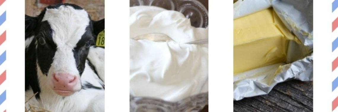 Learning about dairy: Making butter from whipped cream with children | Mirelle - Crea met Kids