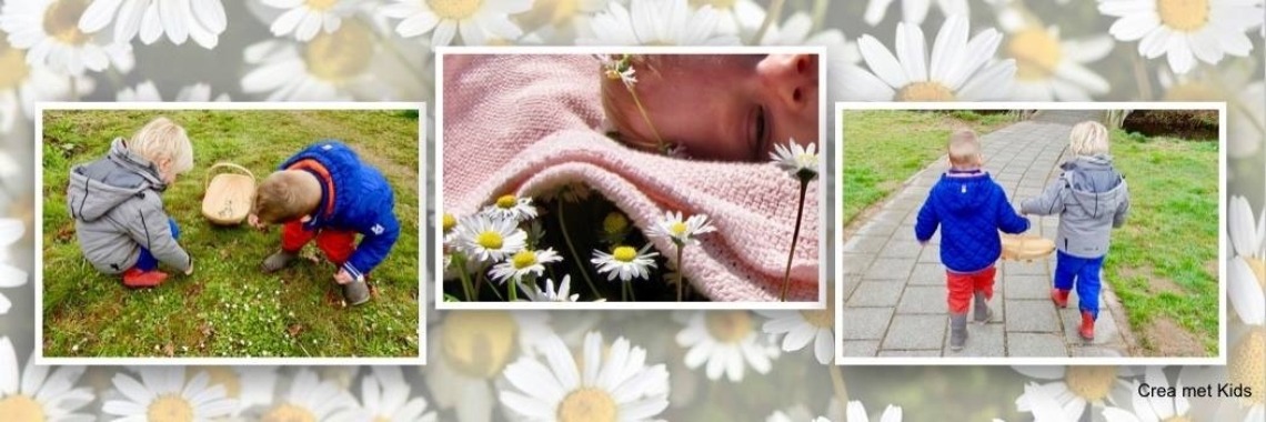 Madeliefjes knutselen | Mirelle - Crea met Kids
