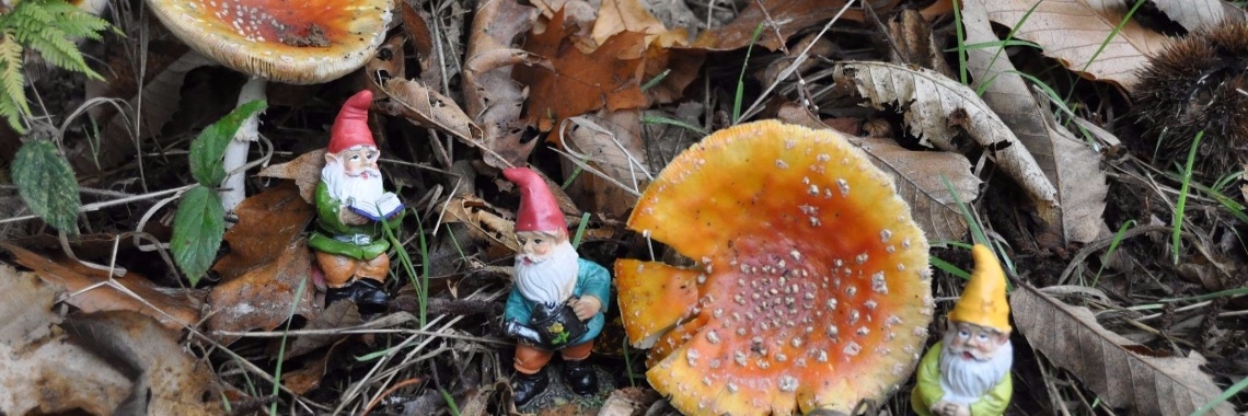 Wat leuks doen in de Herfstvakantie met de kids? | Mirelle - Crea met Kids