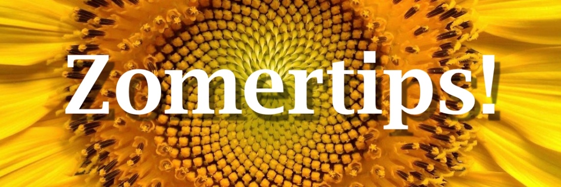 Meer dan  100 Zomertips: | Mirelle - Crea met Kids