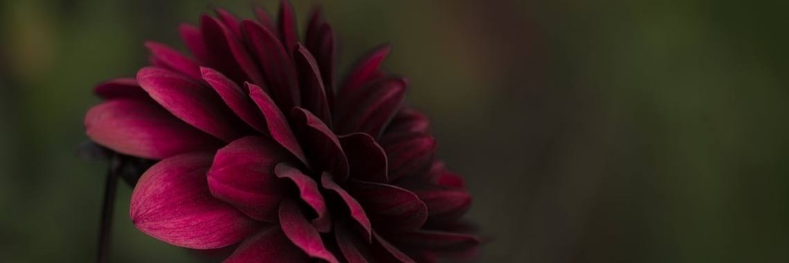 Corso In Het Dorp ... (haiku 182) | Mary-José     (MJ)