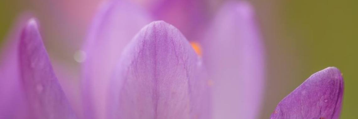 De Waarde Van Hoop ... (eigen Quote) | Mary-José     (MJ)