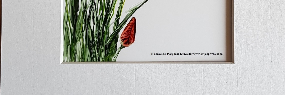 HET LEVEN  ...  Encaustic en gedicht | Mary-José     (MJ)