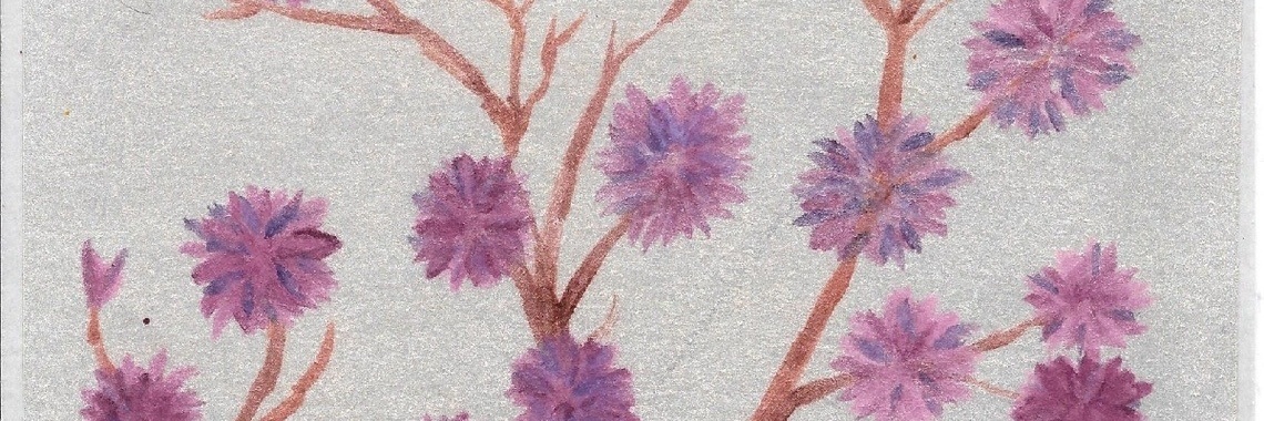 Honing Voor Haar Ziel ... (haiku 167) | Mary-José     (MJ)