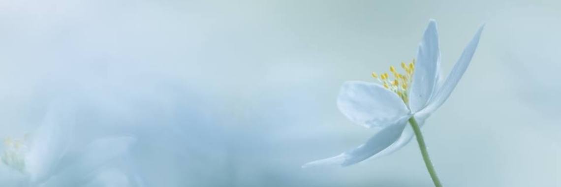 Jij Maakt Mij (tot) Mama ... Gedicht Moederdag | Mary-José     (MJ)