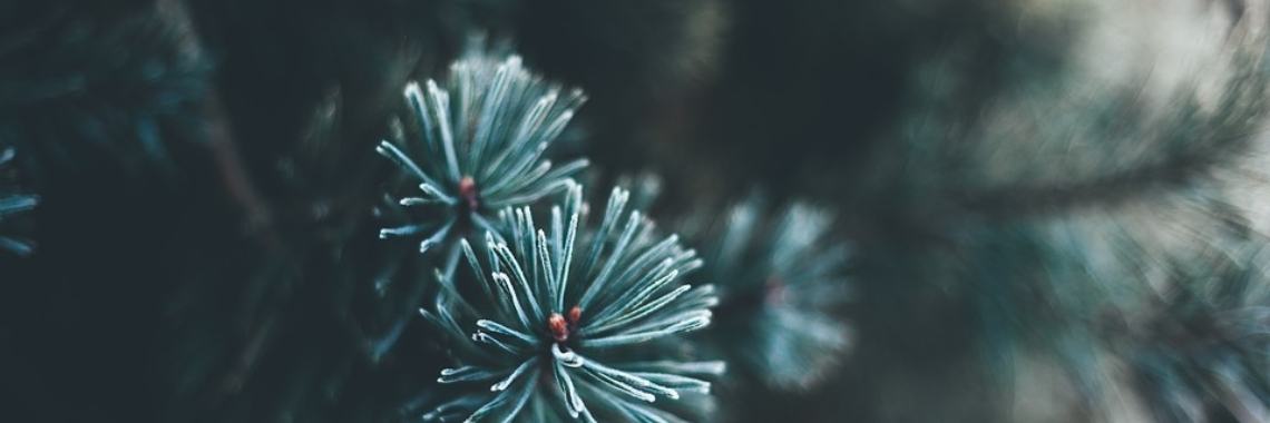 Kerst... Bezinning - Bezitting ... (eigen Quote) | Mary-José     (MJ)