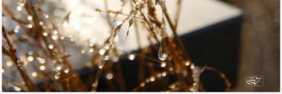 Licht En Licht ... Eigen Quote | Mary-José     (MJ)