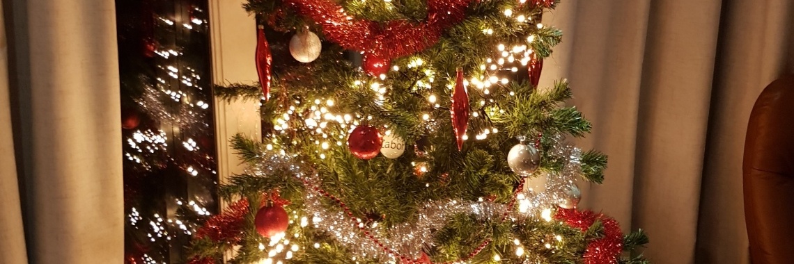 Mijn Kerstboom ... | Mary-José     (MJ)