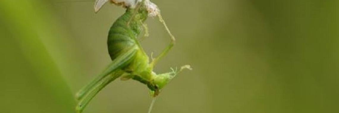 Omarm Het Leven ... Eigen Quote | Mary-José     (MJ)