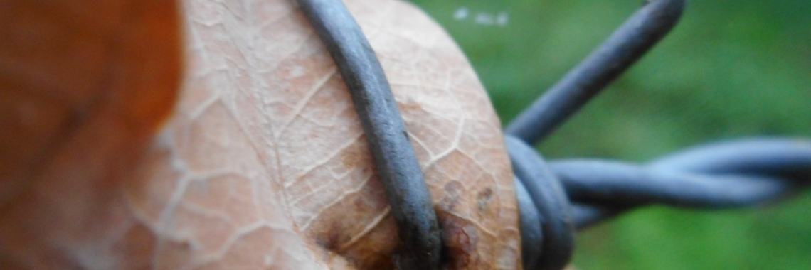 Val Jezelf Niet Te Hard ... (eigen Quote) | Mary-José     (MJ)