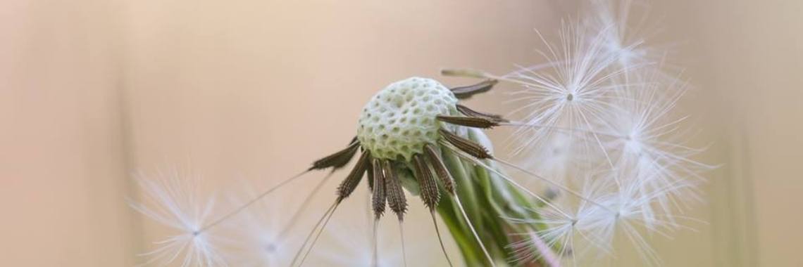 VERTROUWEN ... | Mary-José     (MJ)