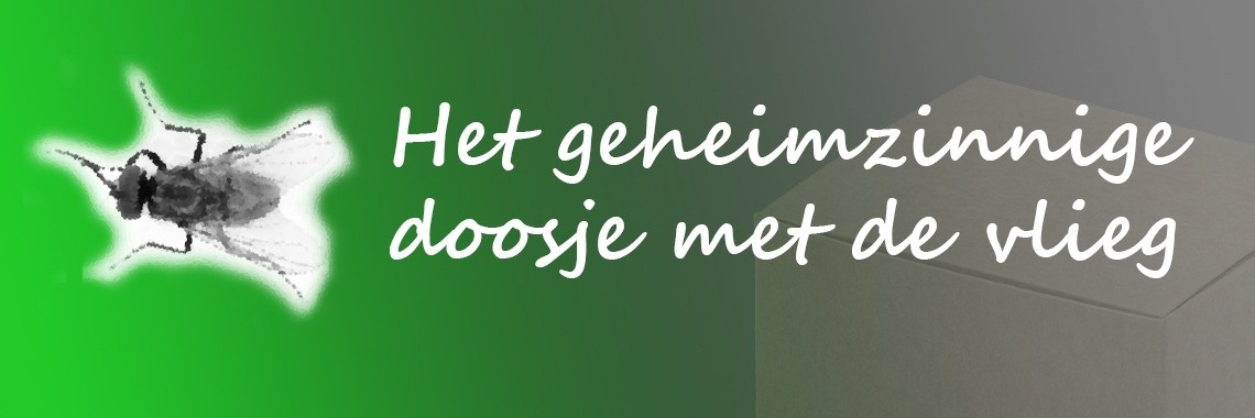 Het geheimzinnige doosje met de vlieg | maartenvc