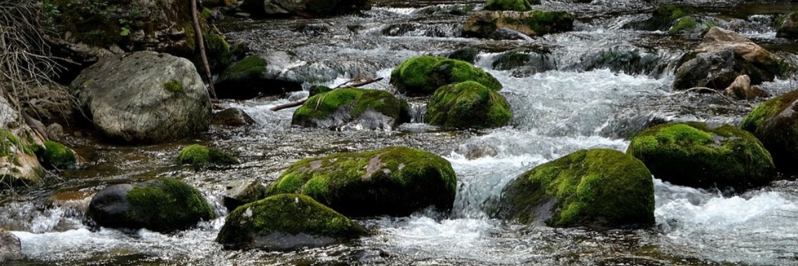 De Zuid-Europese natuur is niet ongevaarlijk. | Leonardo
