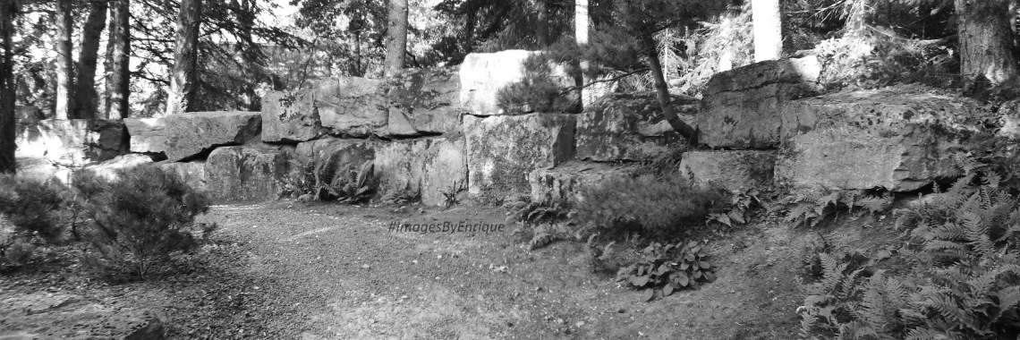 #10dagenzwartwit Dag 5 | The Original Enrique