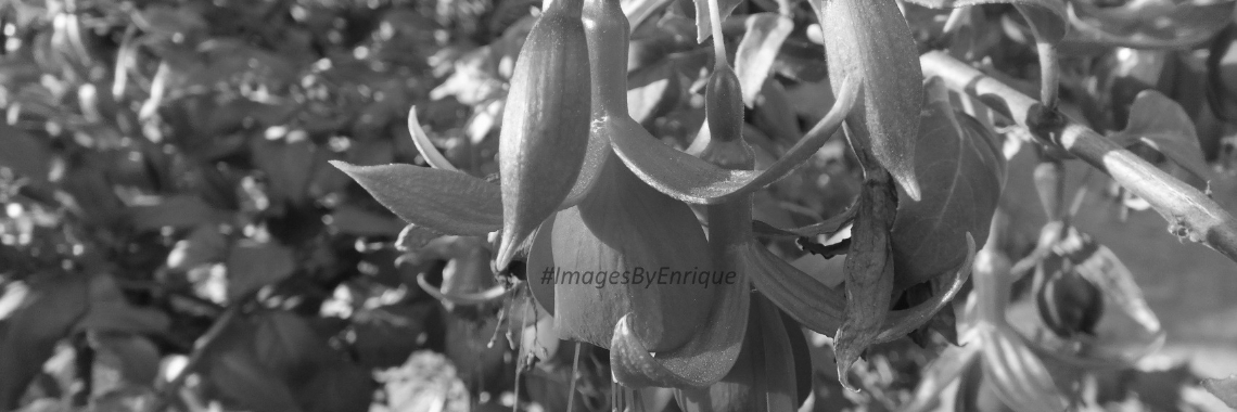 #10dagenzwartwit Dag 6 | The Original Enrique