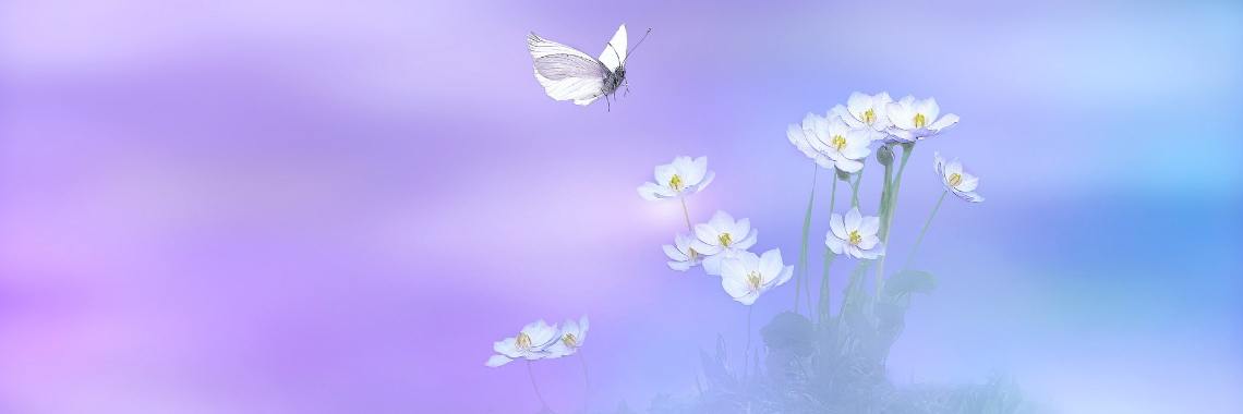 Afscheid van een vriend | The Original Enrique