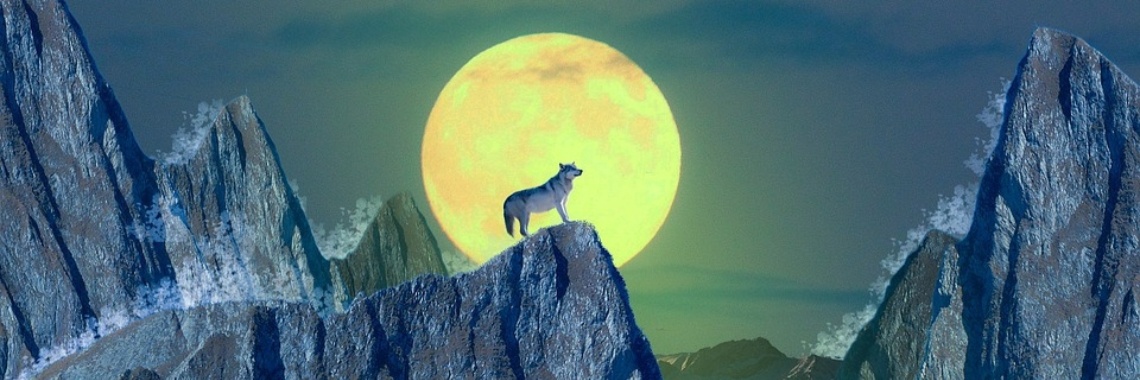 Als mensen hun ware aard laten zien | The Original Enrique