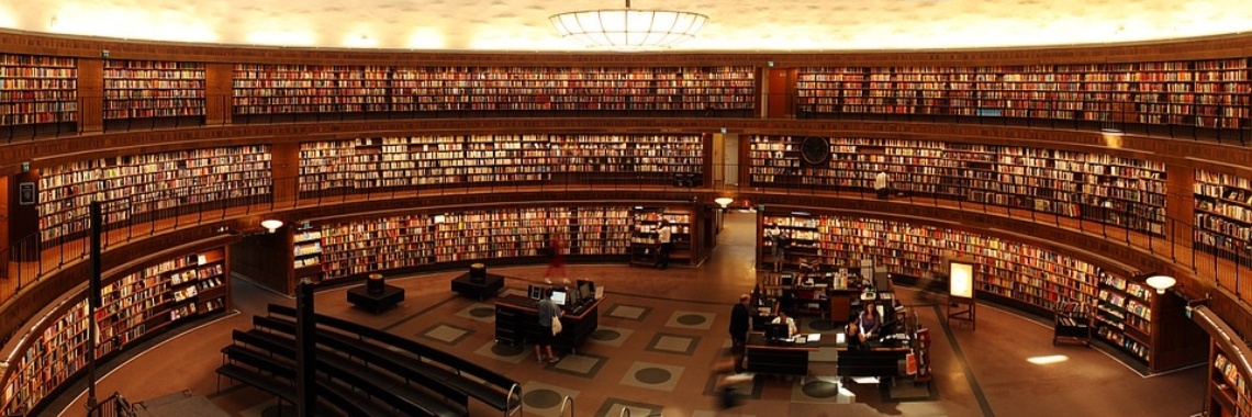 Encaustichris' 7 Day bookchallenge; inzending van Enrique | The Original Enrique