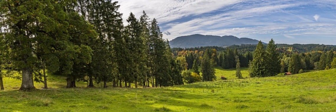 MyFeelings 4 | The Original Enrique