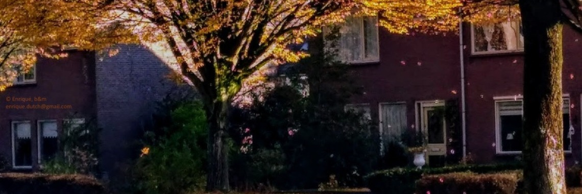 Foto's herfst in Nederland | The Original Enrique