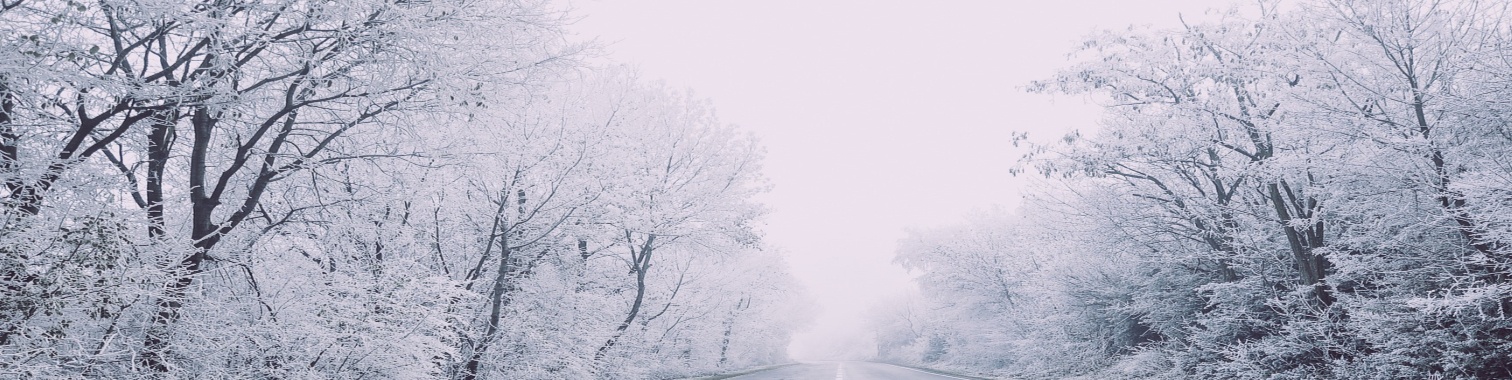 Gedicht 'Pesten' (autobiografisch) | The Original Enrique