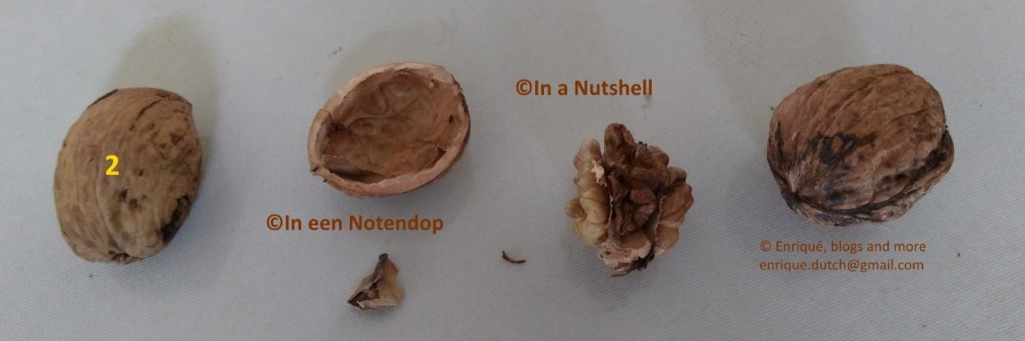 In a #Nutshell 2 | The Original Enrique