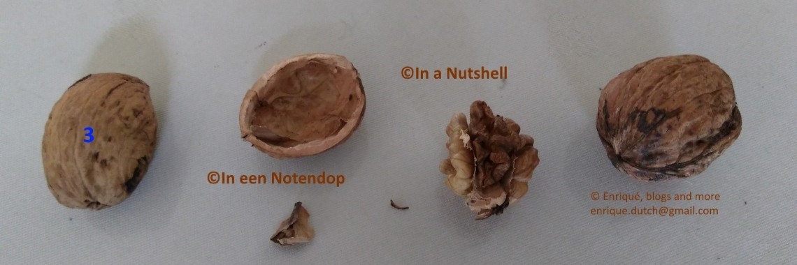 In a #Nutshell 3 | The Original Enrique