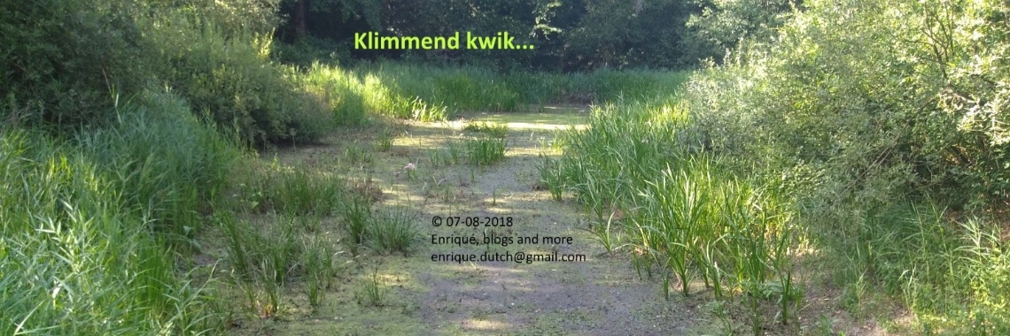 Klimmend kwik... | The Original Enrique