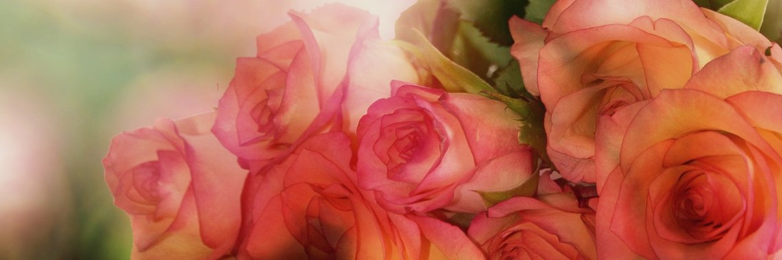 Overzicht: Poëzie Valentijnsdag 2020 (Poetry by Enrique) | The Original Enrique