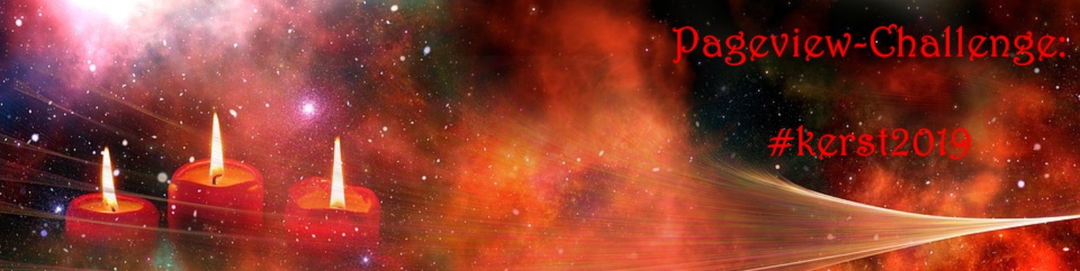 Pageview-Challenge: Kerst 2019 | The Original Enrique