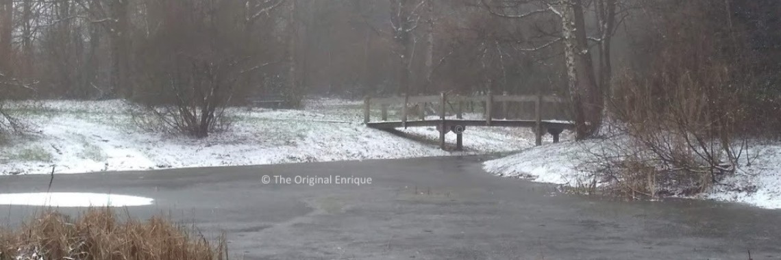 © 'Pieces of Paradise': First snow before Christmas | The Original Enrique
