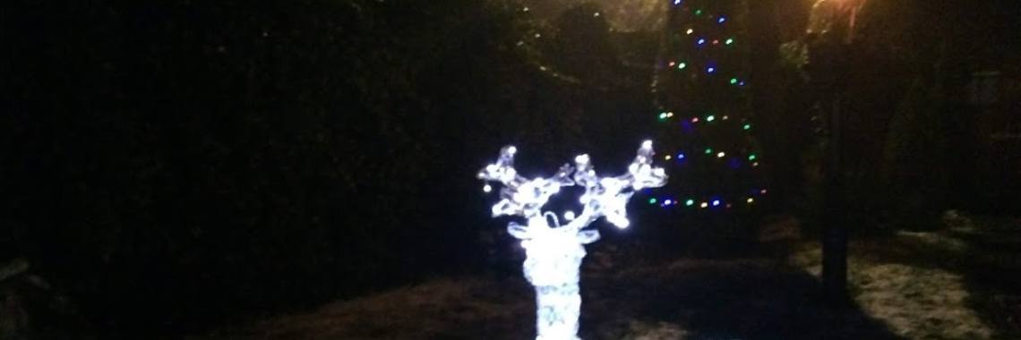 © 'Pieces of Paradise': Kerstlichtjes in de avond | The Original Enrique