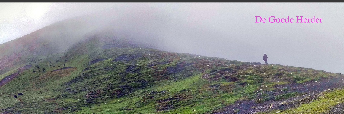 Religieus Valentijnsgedichtje | The Original Enrique