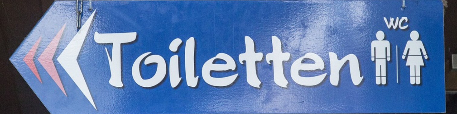 Review: HG Super Kracht Toiletreiniger | The Original Enrique