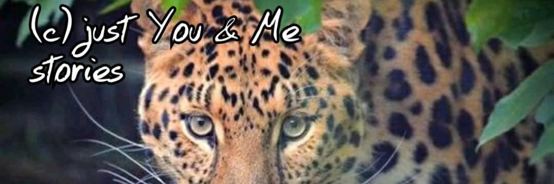 Samen: De avonturen van Kees (7) | The Original Enrique