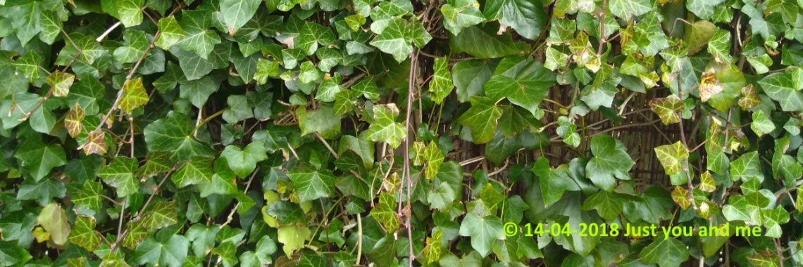 Samen: Rondje buren | The Original Enrique