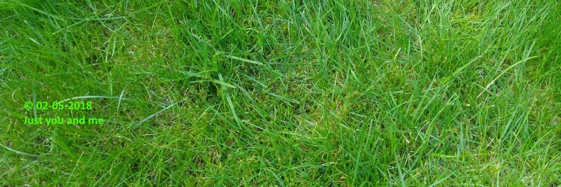 Samen: Rondje buren (3) 'Gardengate' goes on... | The Original Enrique