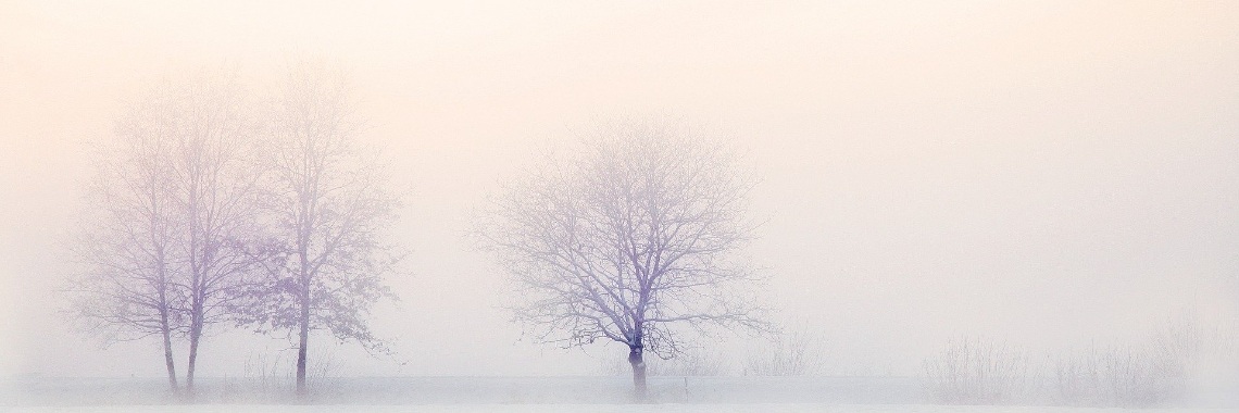 Sixword story: White Christmas | The Original Enrique