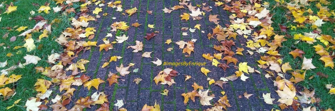 Slaapmutsje 114 'Herfstsferen' | The Original Enrique